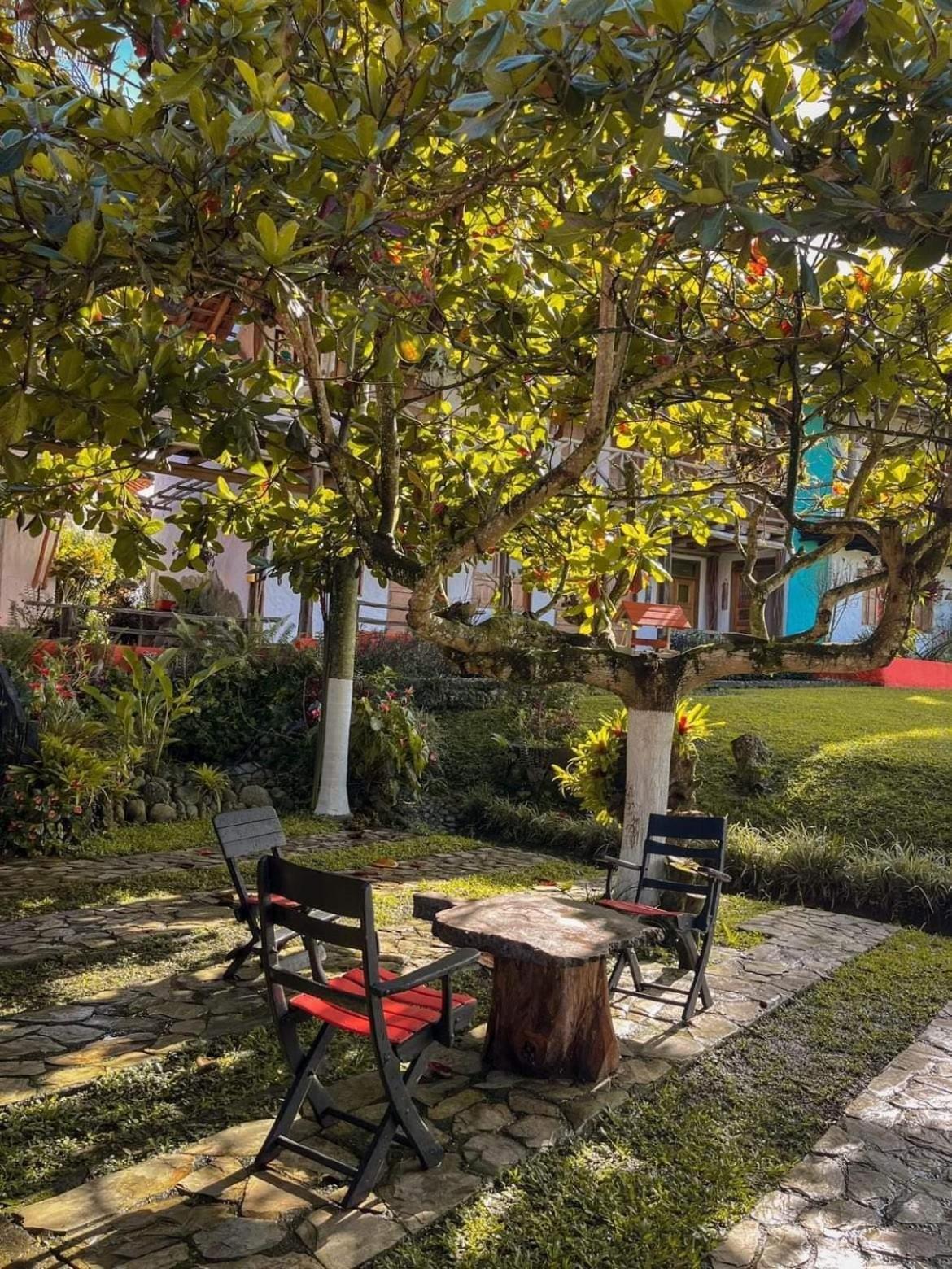 Finca Hotel Palmas Frente A Panaca Quimbaya Ngoại thất bức ảnh
